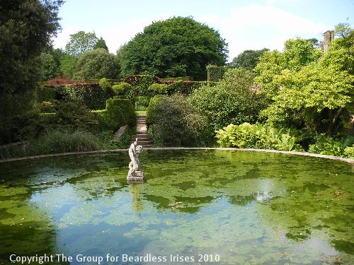 hidcote (11)